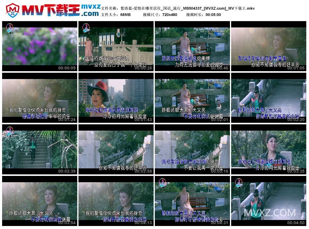 紫洛蓝-爱情在哪里居住_国语_流行_MB504337